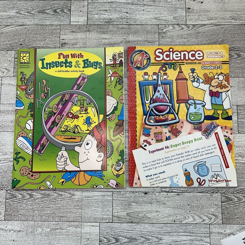 WORKBOOKS Lot of 2 Fun Skill Builders - Science Insects Bugs - Grades 2-3 - NEW - Picture 11 of 15
